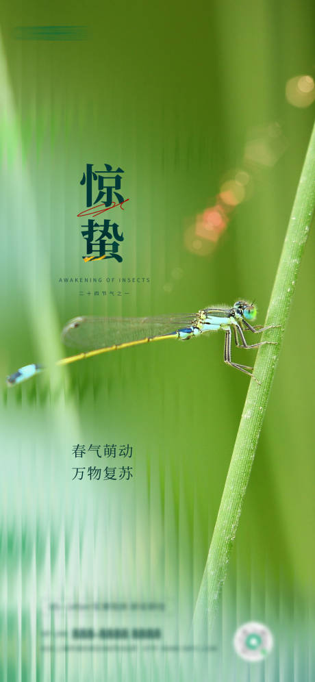 源文件下载【惊蛰绿色节气图二十四节气】编号：69270015156308065