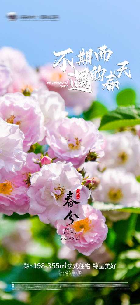 源文件下载【春分节气海报】编号：63490015423931703