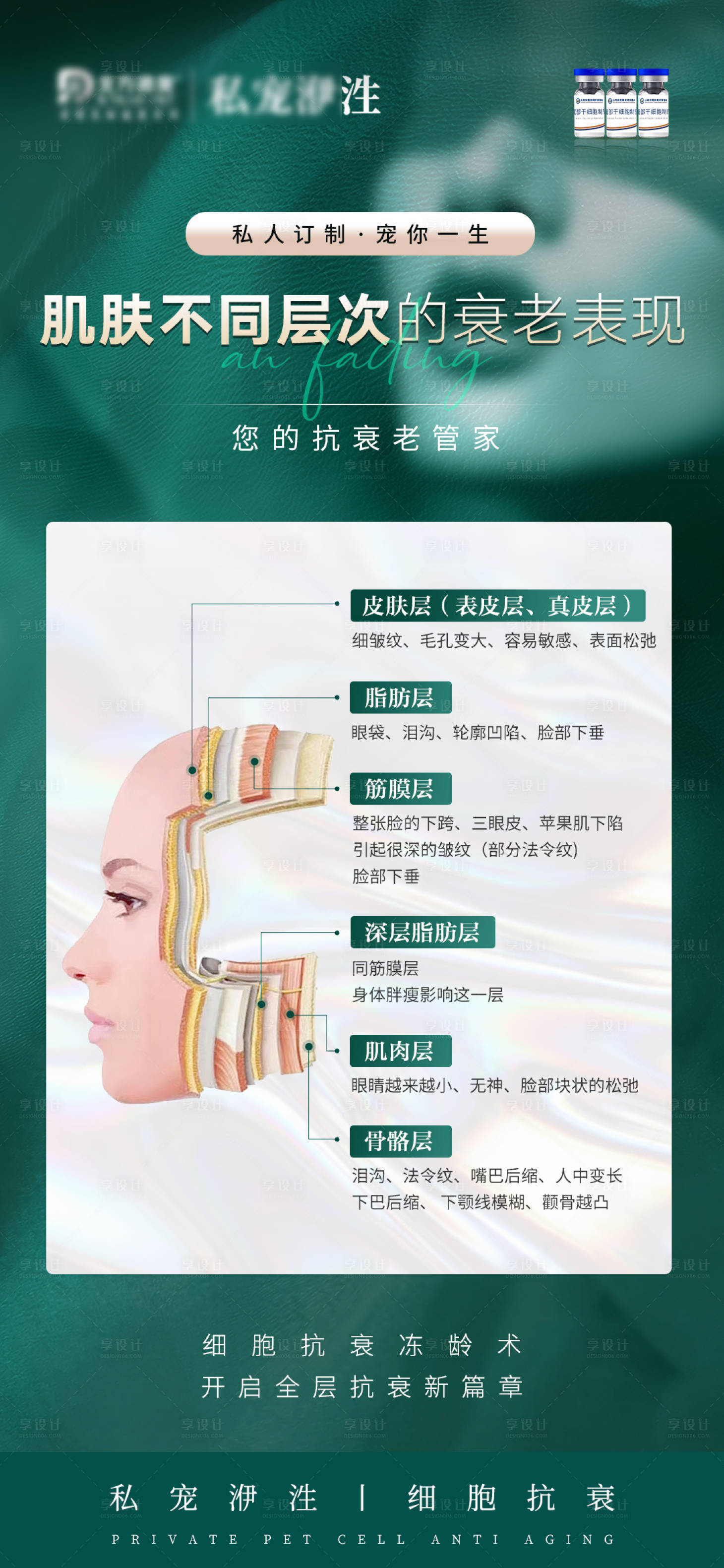 源文件下載【醫美細胞衰老海報】編號：63290015469181149