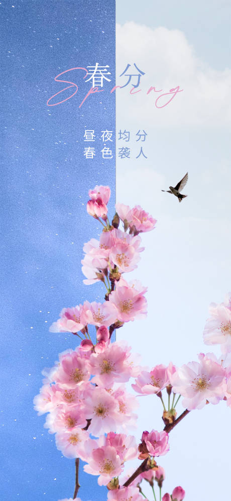 源文件下載【春分海報】編號：71960015323705658