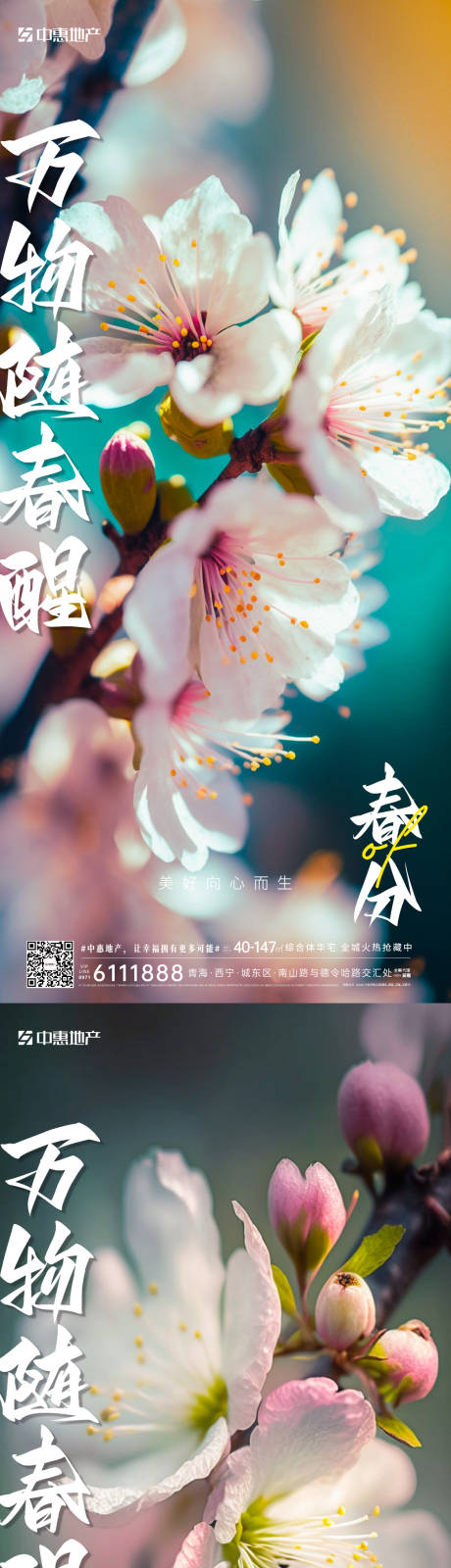 源文件下載【享設(shè)計(jì)】搜索編號(hào)：21750015369719041【春分節(jié)氣系列海報(bào)】