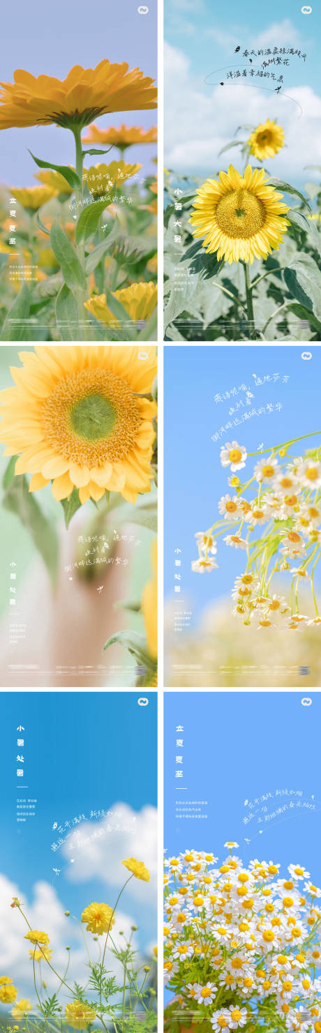立夏夏至小暑大暑处暑24节气花卉海报-源文件【享设计】
