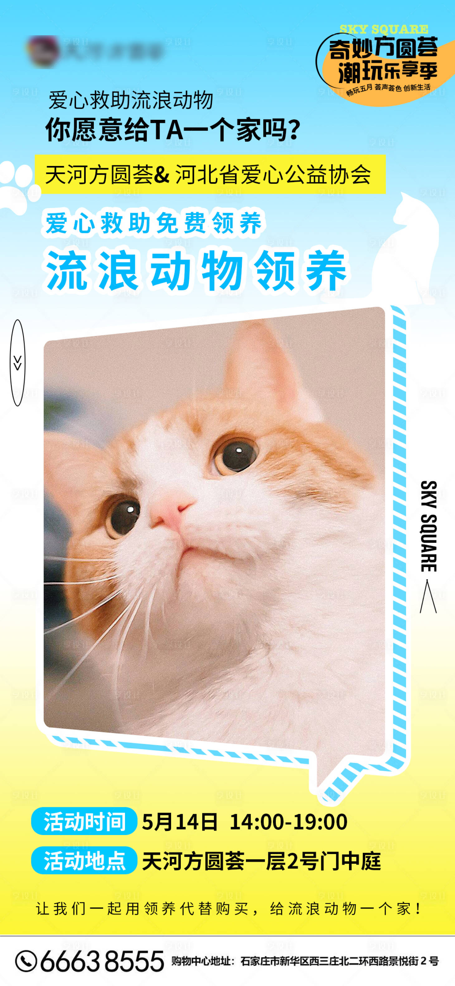 源文件下载【享设计】搜索编号：21890015561285919【宠物领养日春日简约海报】