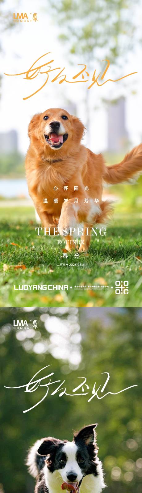 源文件下載【享設計】搜索編號：57420015179173543【春分節氣刷屏系列海報】