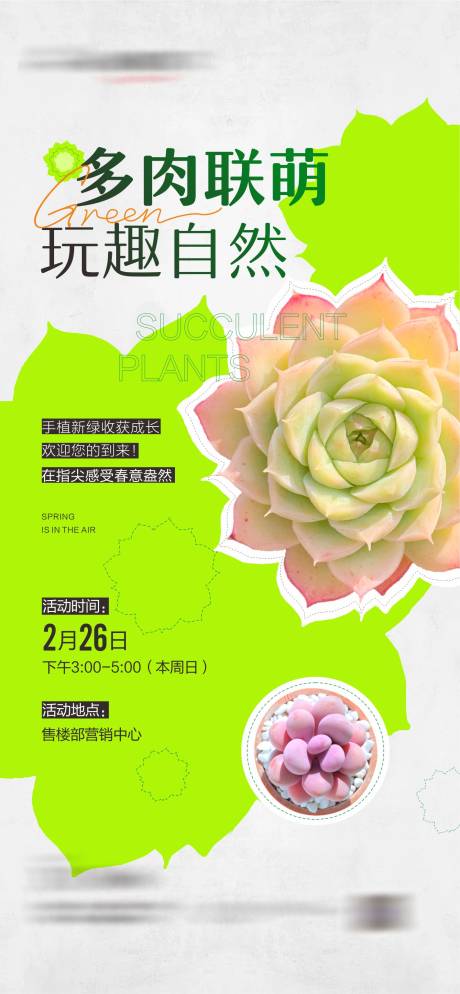 源文件下载【绿植diy活动】编号：13940015410704857