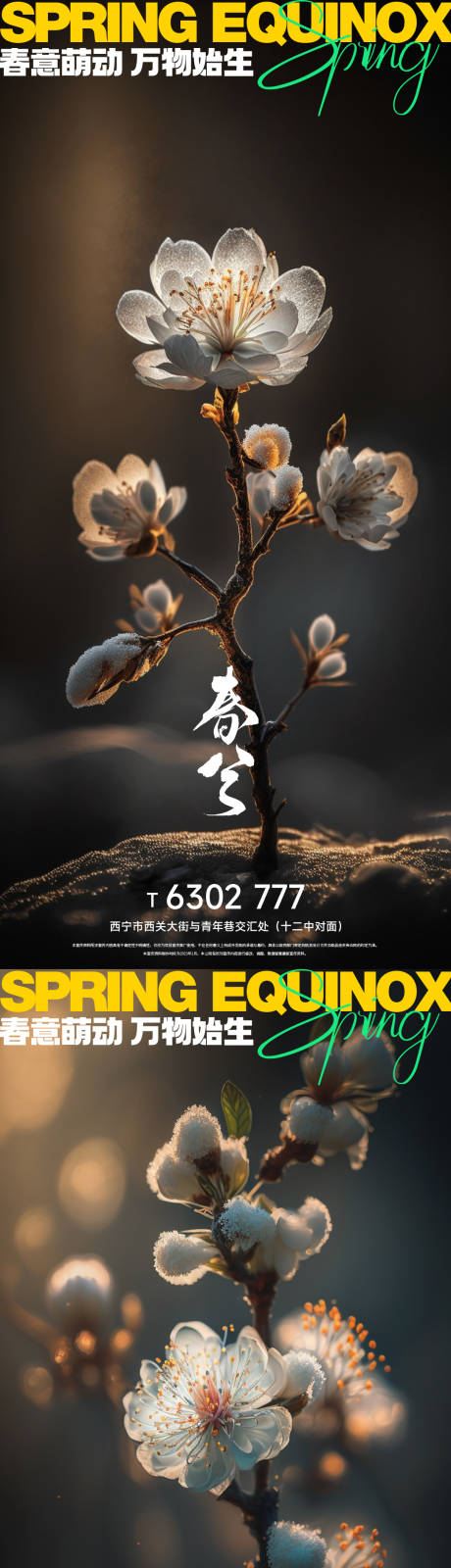 源文件下载【春分节气海报】编号：21070015301548086