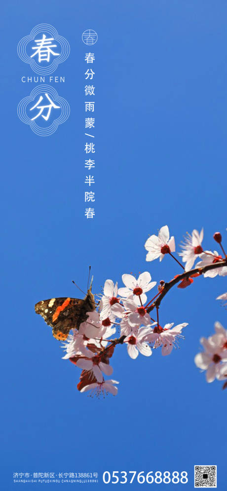 源文件下载【春分海报】编号：89760015486882799