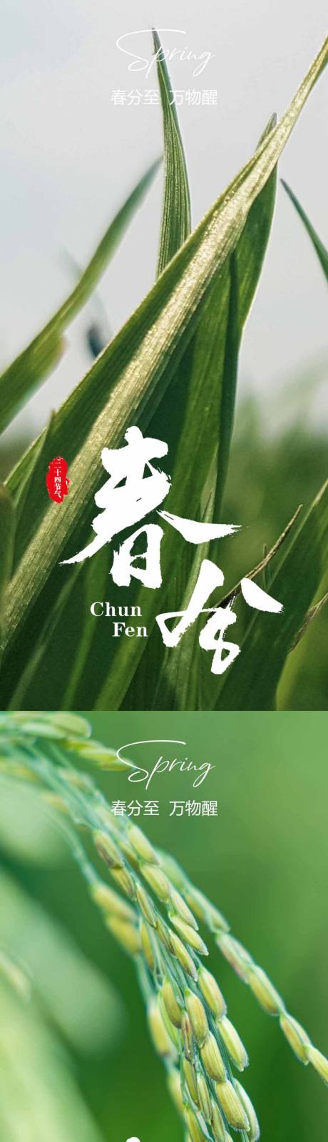 源文件下载【春分节气系列海报】编号：43130015432157260