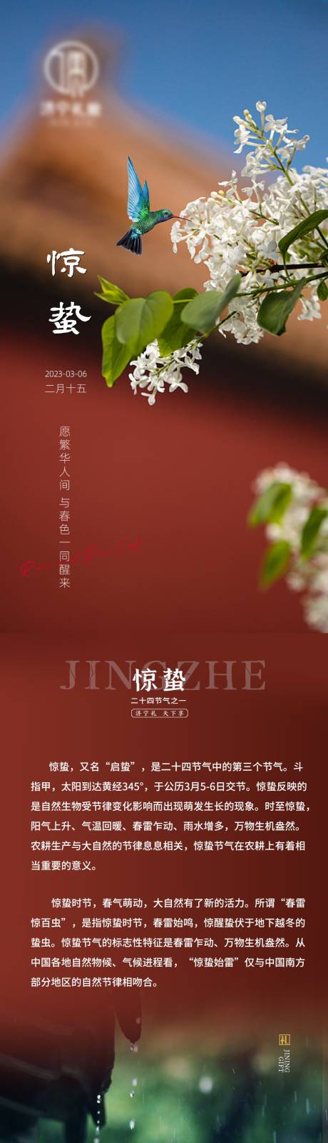 源文件下载【二十四节气惊蛰春分微推长图海报】编号：20290015055215139