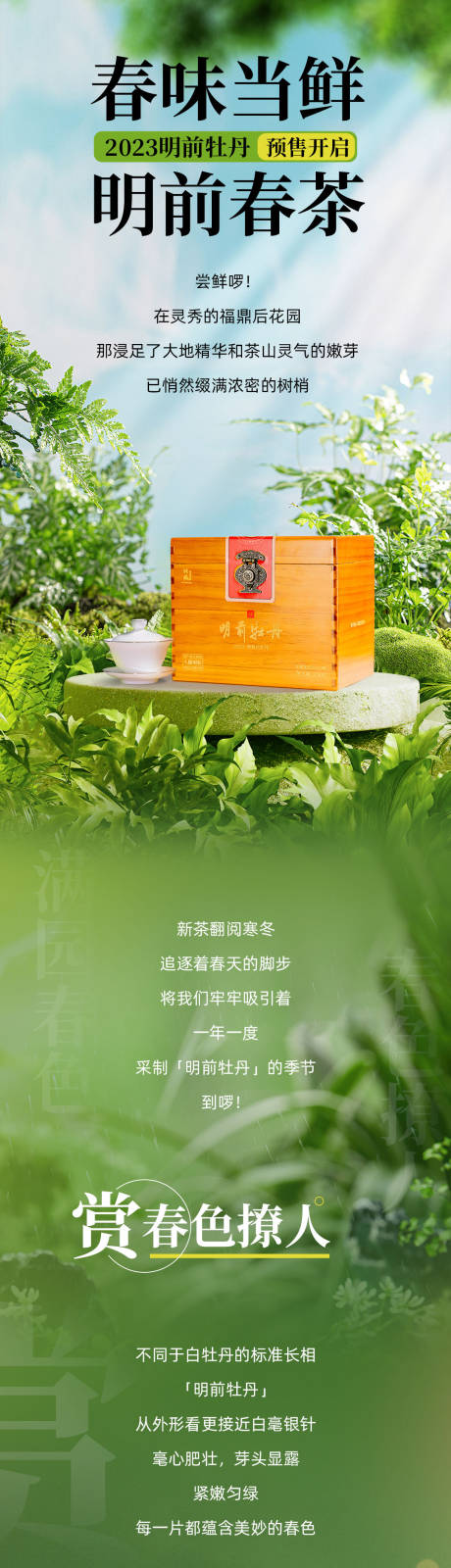 源文件下載【享設計】搜索編號：95890015569612237【春茶詳情頁】