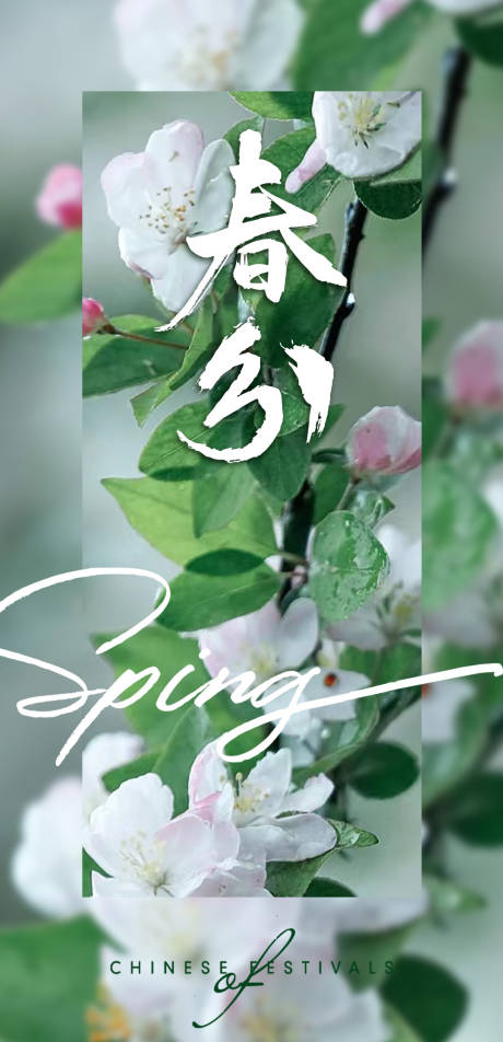 源文件下載【享設計】搜索編號：62240015305441468【地產立春春分桃花海報】