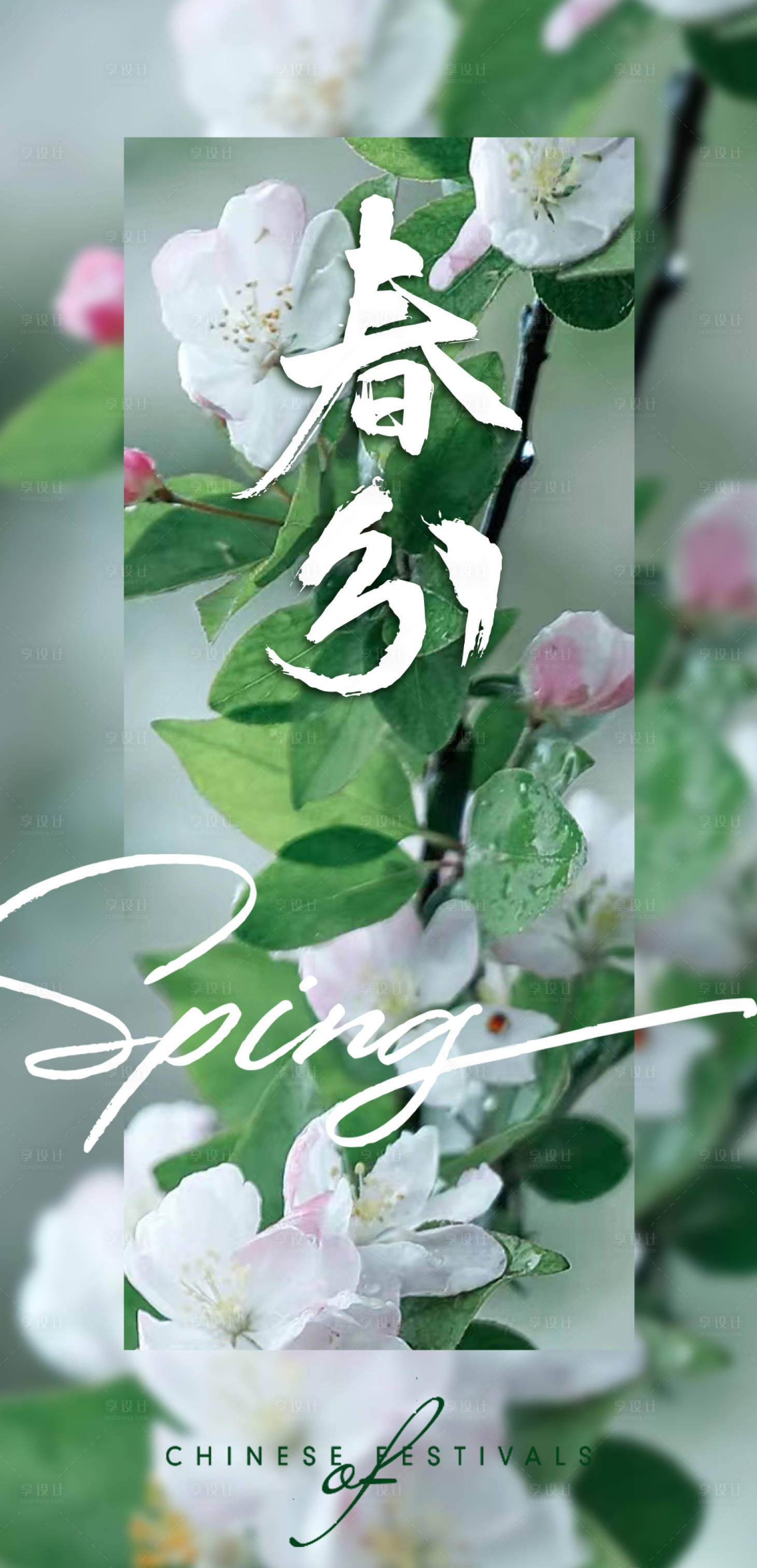 源文件下载【享设计】搜索编号：62240015305441468【地产立春春分桃花海报】