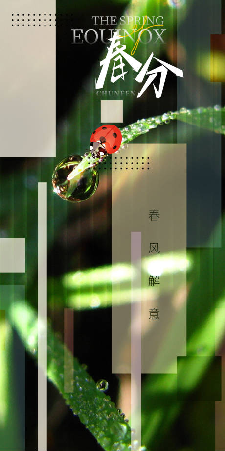 源文件下载【春分节气海报】编号：76450015264962375
