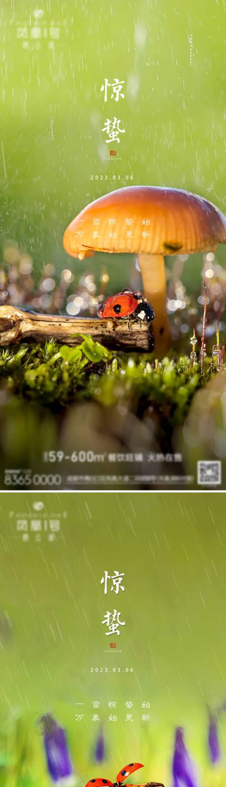 源文件下载【享设计】搜索编号：13260015090465992【地产惊蛰海报】