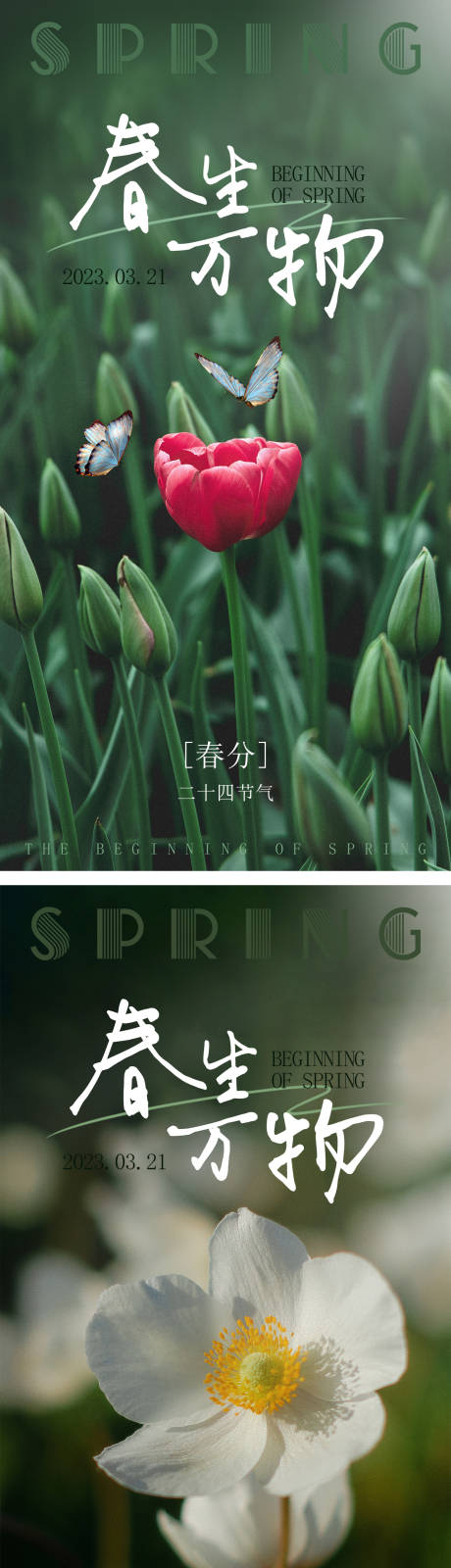 源文件下載【享設(shè)計(jì)】搜索編號(hào)：59180015387412377【春分節(jié)氣海報(bào)】