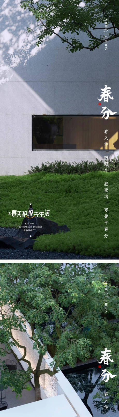 源文件下载【春分节气系列海报】编号：55080015431919055