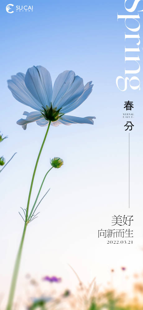 源文件下载【春分】编号：42620015400611404