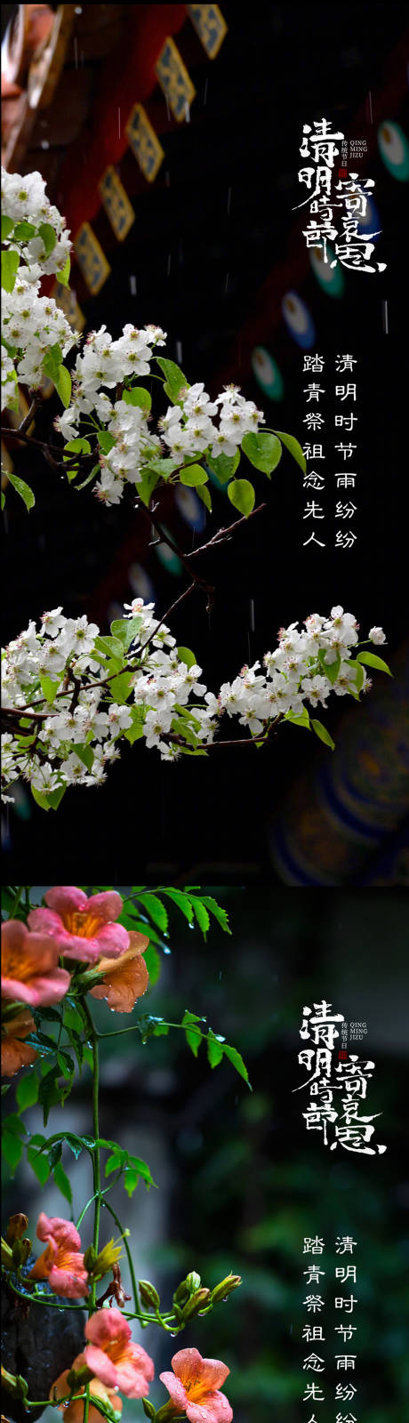源文件下载【清明海报】编号：99810015551329674