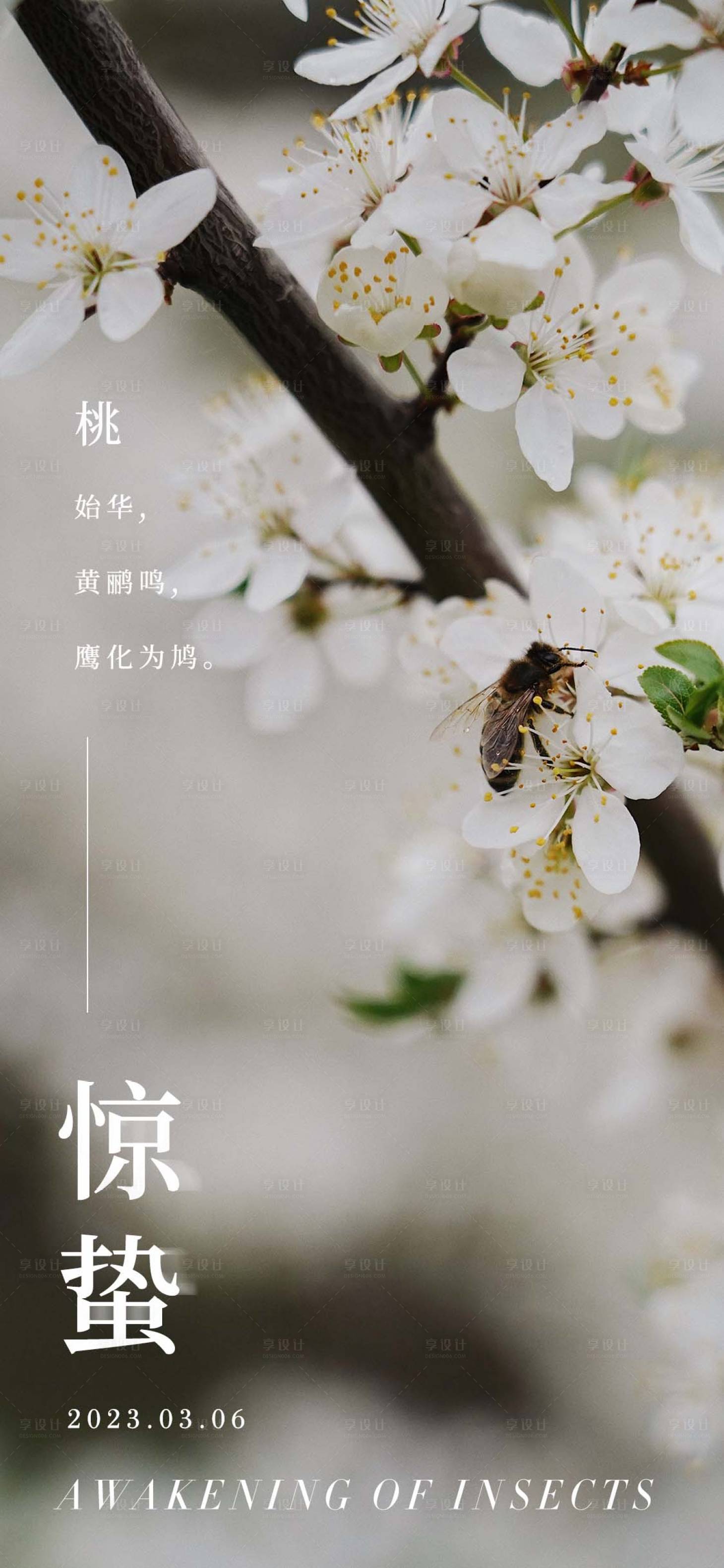 源文件下載【享設(shè)計(jì)】搜索編號：72180015067627308【驚蟄海報(bào)】