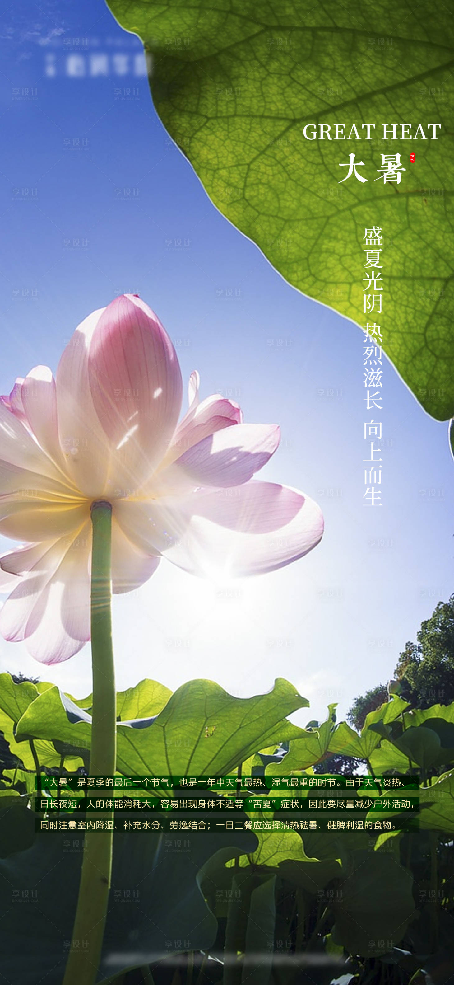 源文件下載【享設計】搜索編號：31620015489869039【大暑節氣海報】