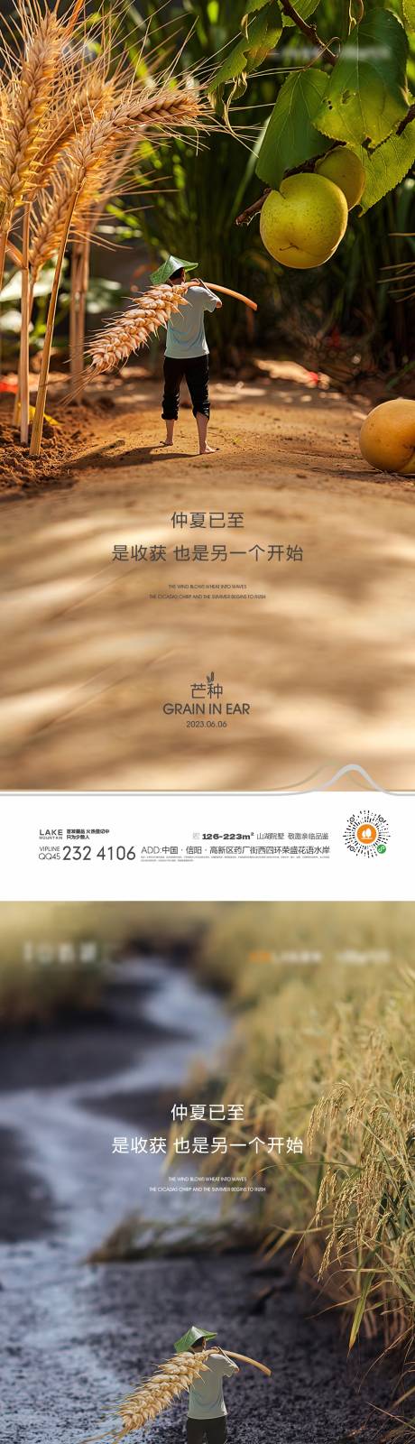 源文件下載【芒種海報】編號：52390015578959569