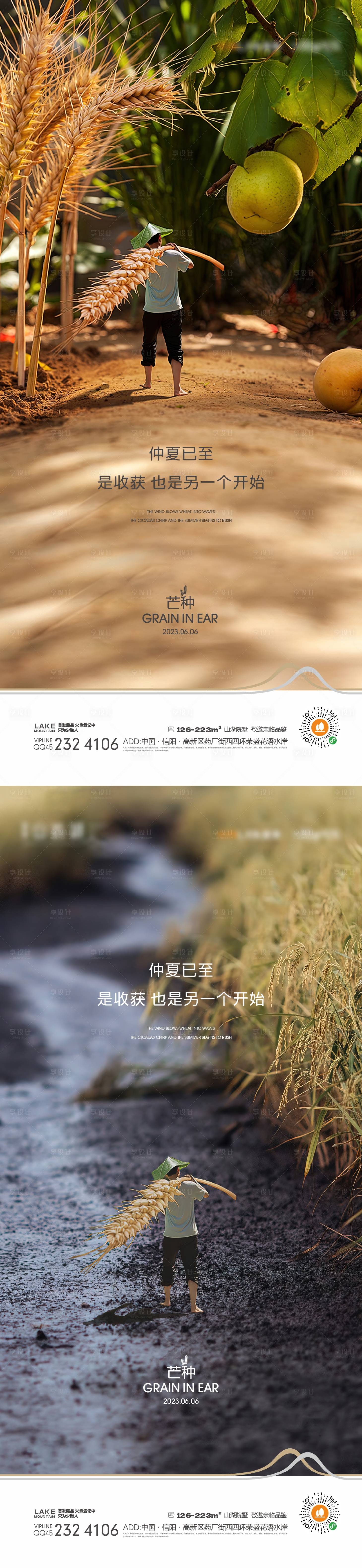 源文件下载【芒种海报】编号：52390015578959569