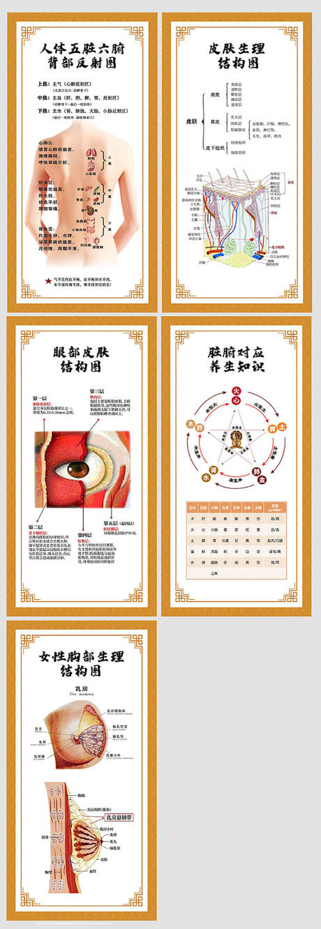源文件下載【享設計】搜索編號：64790015263722493【人體中醫專業知識板塊海報】