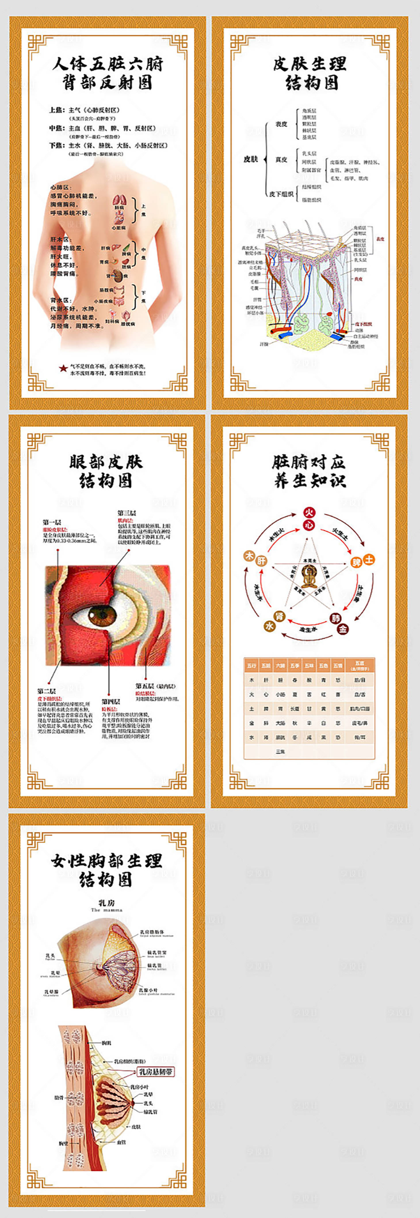 源文件下載【享設計】搜索編號：64790015263722493【人體中醫專業知識板塊海報】