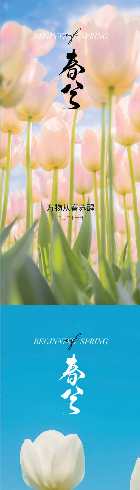 春分节气系列海报-源文件【享设计】