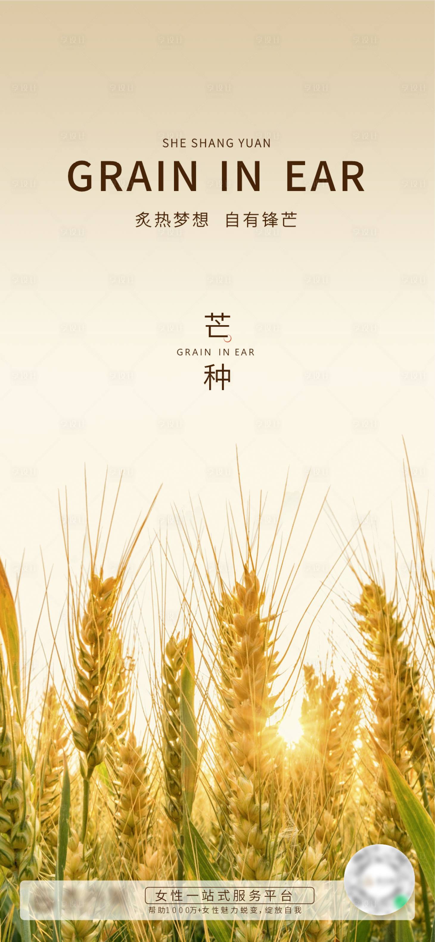 源文件下载【享设计】搜索编号：29140015247299424【二十四节气芒种海报】