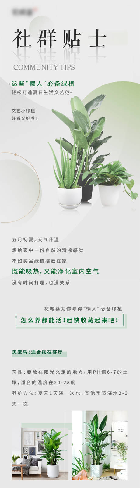 源文件下载【植物生长环境科普海报长图】编号：59730016073711524
