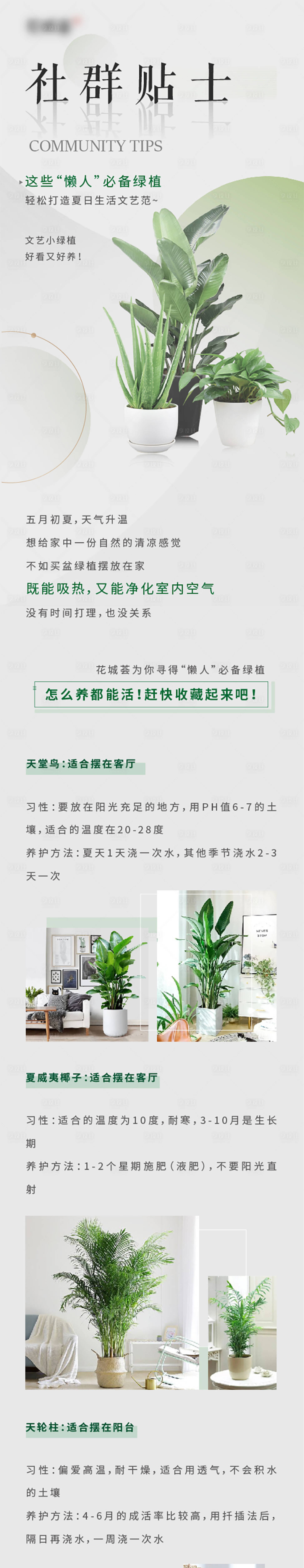 源文件下載【享設計】搜索編號：59730016073711524【植物生長環境科普海報長圖】