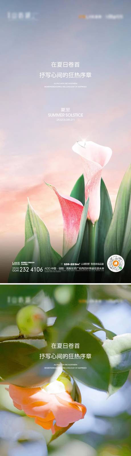 源文件下载【夏至海报】编号：12190016235972616