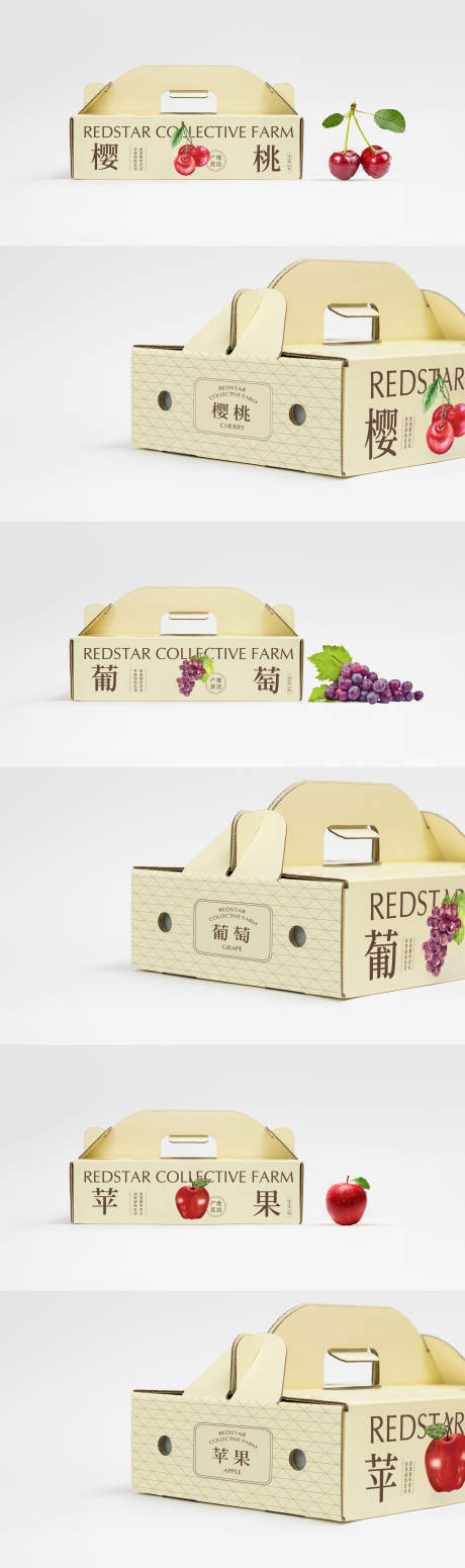 编号：20230414224228096【享设计】源文件下载-果蔬包装盒设计
