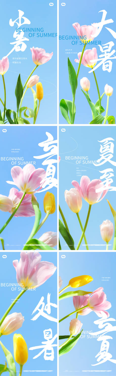 源文件下载【享设计】搜索编号：95320015942217138【立夏夏至小暑大暑处暑花卉系列海报】
