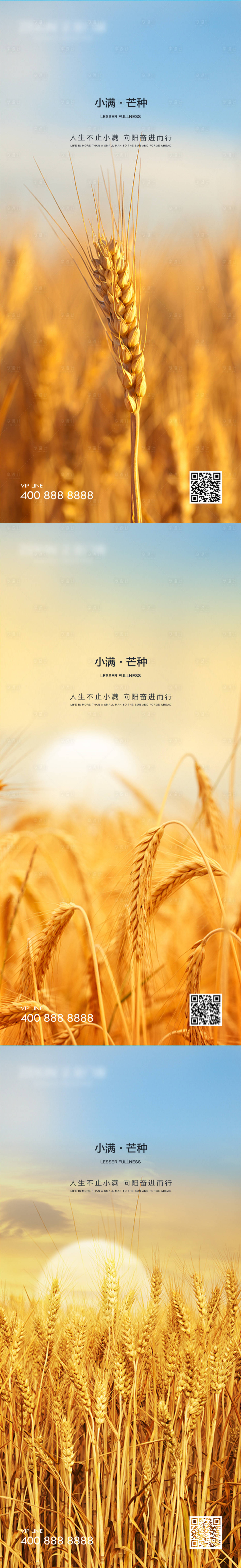 源文件下载【芒种海报】编号：40080015973104633