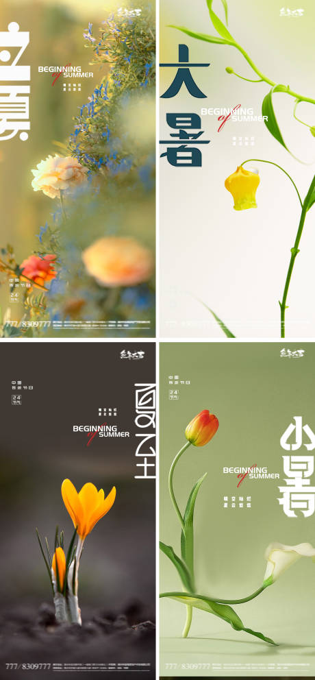 源文件下載【立夏夏至小暑大暑處暑24節氣花卉海報】編號：29190015942519619