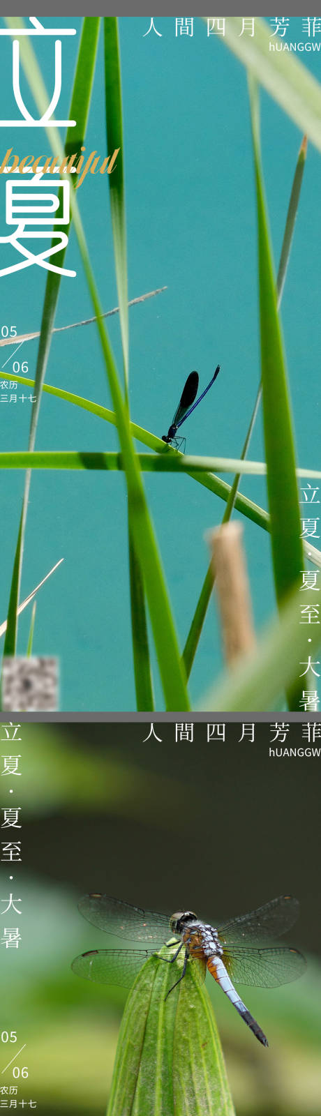 源文件下载【立夏节气海报】编号：98780016214863327