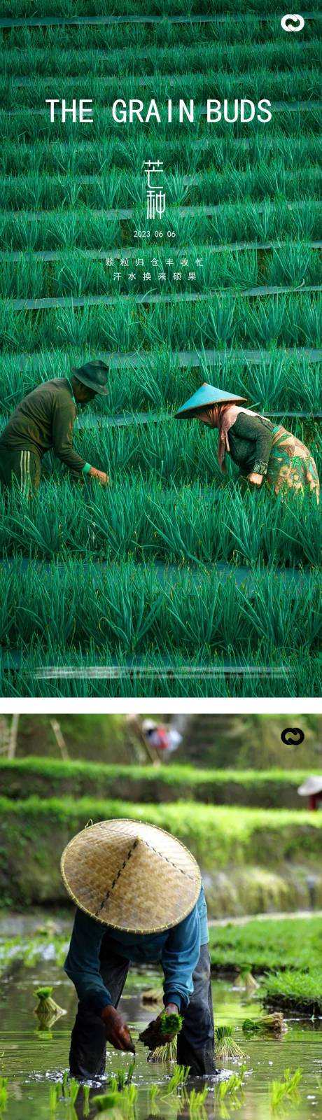 源文件下载【享设计】搜索编号：19650016007676764【芒种麦穗风景海报】