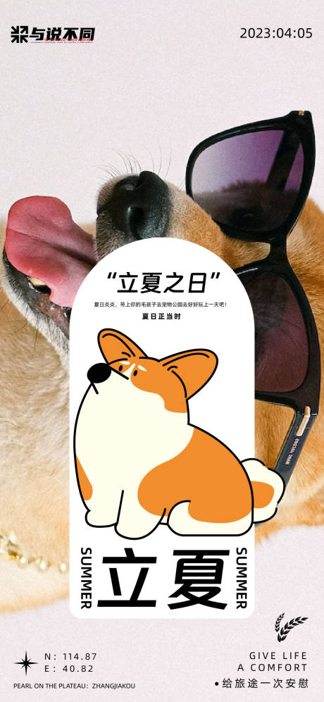 源文件下载【立夏宠物活动海报】编号：65520015876504767