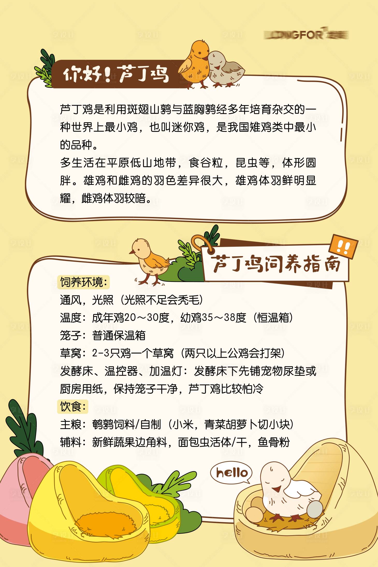 源文件下载【享设计】搜索编号：12280015926398583【芦丁鸡养殖攻略海报】