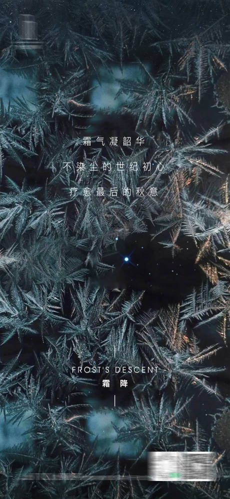 源文件下载【霜降海报】编号：24460016155866481