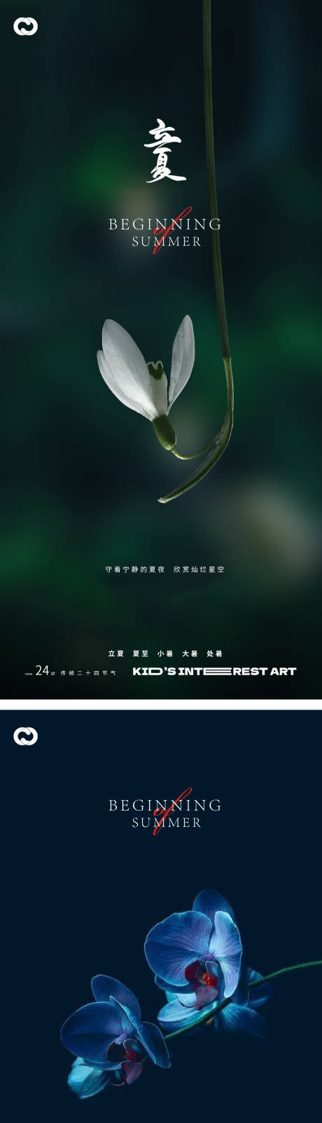 源文件下载【立夏夏至24节气花卉海报】编号：17290015942316062