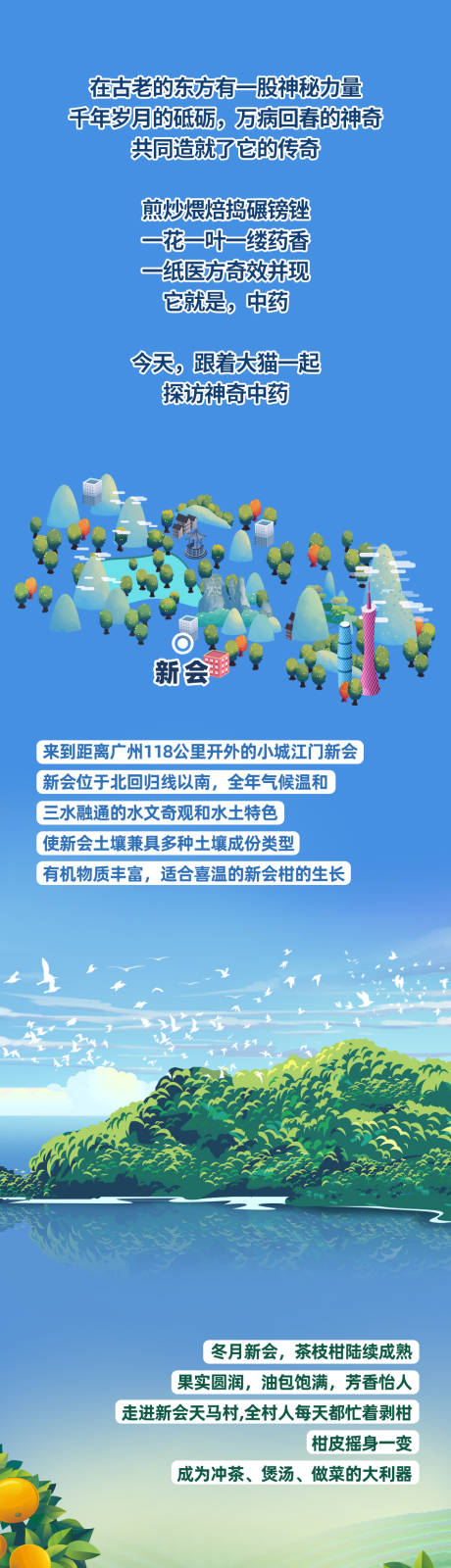 源文件下载【中药陈皮微信公众号长图海报】编号：20230403180902719