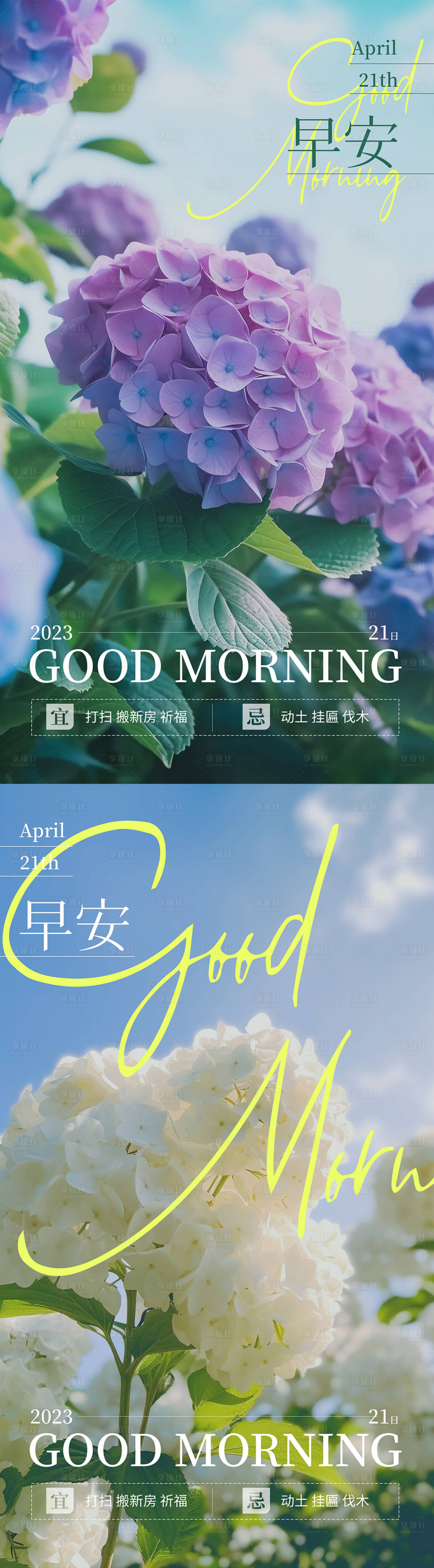 源文件下载【享设计】搜索编号：60100016143737661【早安绣球花摄影海报】