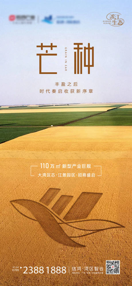源文件下载【地产芒种海报】编号：95380016296821066