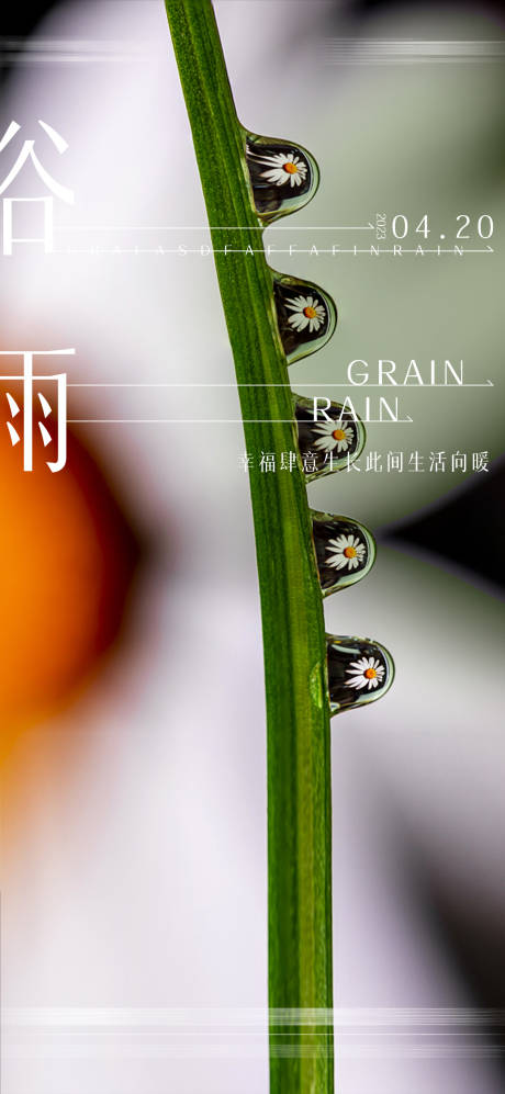 源文件下载【享设计】搜索编号：29030015985406439【谷雨海报】