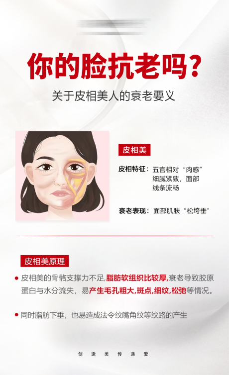 源文件下载【面部皮相美 】编号：20230424115803564