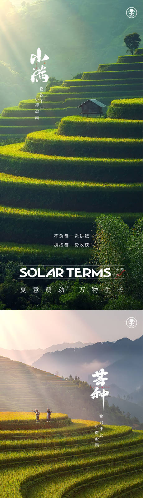 源文件下载【小满芒种海报】编号：54710016027499569