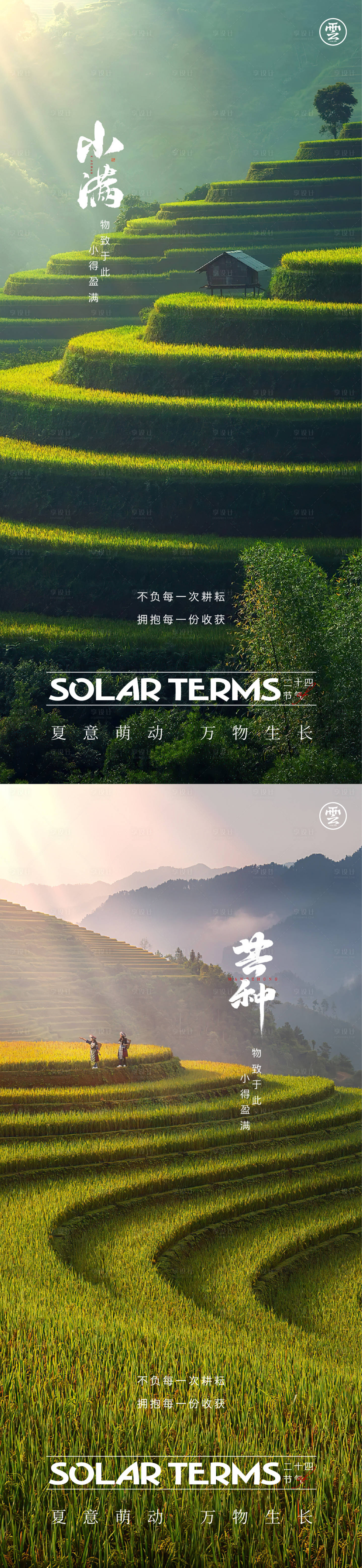 源文件下载【小满芒种海报】编号：54710016027499569